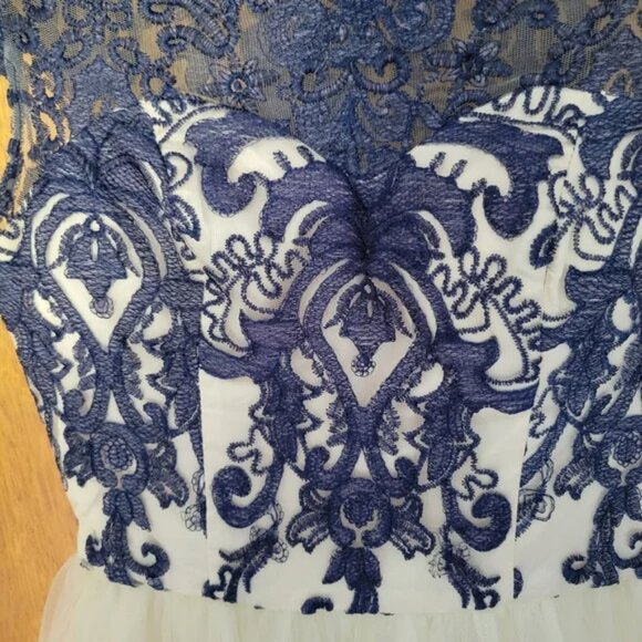 Chi Chi London Cream & Navy Lace Tulle Midi Dress Modcloth - Picture 4 of 7